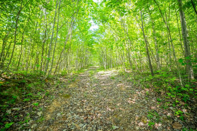1051 Kelley Lane Spann Hill, Monticello, KY 42633