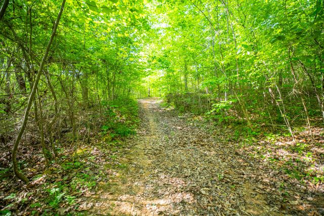 1051 Kelley Lane Spann Hill, Monticello, KY 42633