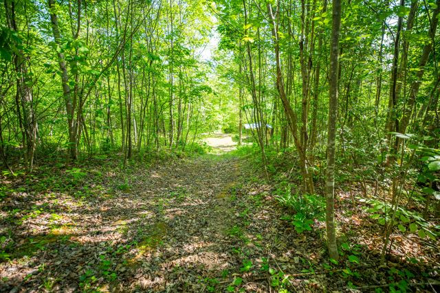 1051 Kelley Lane Spann Hill, Monticello, KY 42633