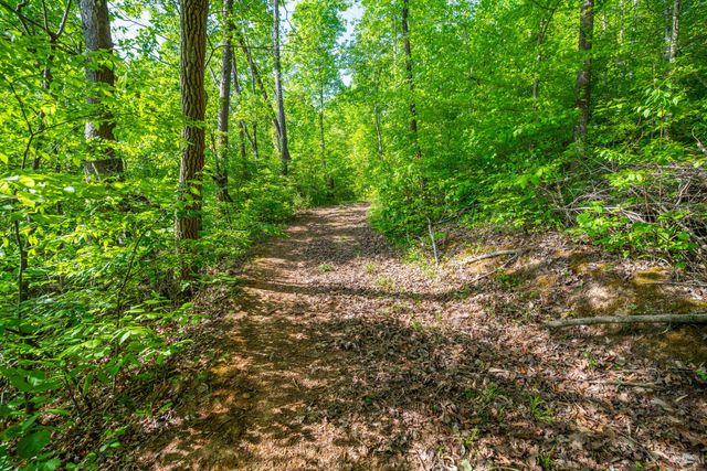 1051 Kelley Lane Spann Hill, Monticello, KY 42633