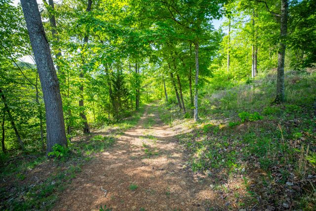 1051 Kelley Lane Spann Hill, Monticello, KY 42633