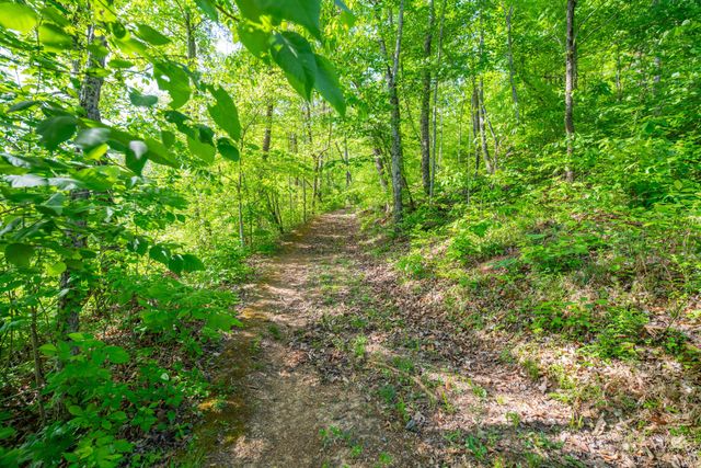 1051 Kelley Lane Spann Hill, Monticello, KY 42633