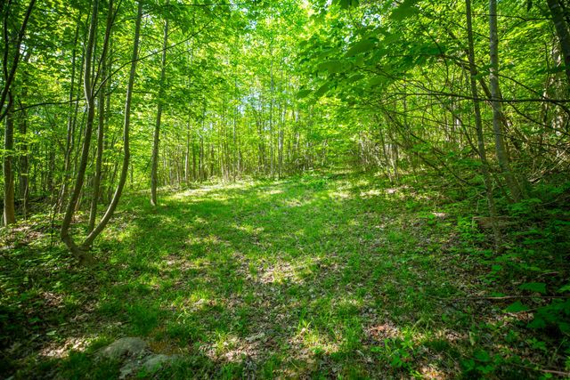 1051 Kelley Lane Spann Hill, Monticello, KY 42633