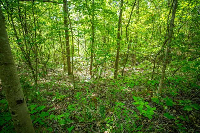 1051 Kelley Lane Spann Hill, Monticello, KY 42633