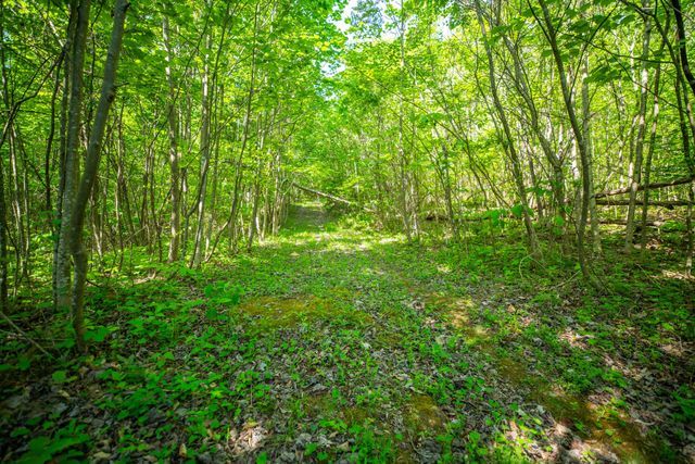 1051 Kelley Lane Spann Hill, Monticello, KY 42633
