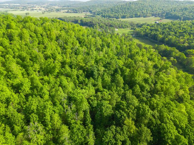1051 Kelley Lane Spann Hill, Monticello, KY 42633