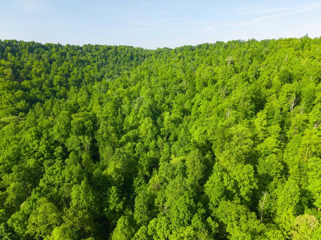 1051 Kelley Lane Spann Hill, Monticello, KY 42633