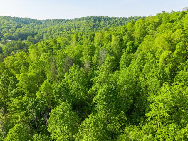 1051 Kelley Lane Spann Hill, Monticello, KY 42633