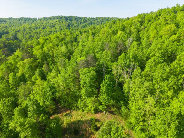 1051 Kelley Lane Spann Hill, Monticello, KY 42633