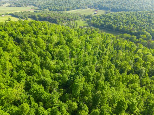 1051 Kelley Lane Spann Hill, Monticello, KY 42633