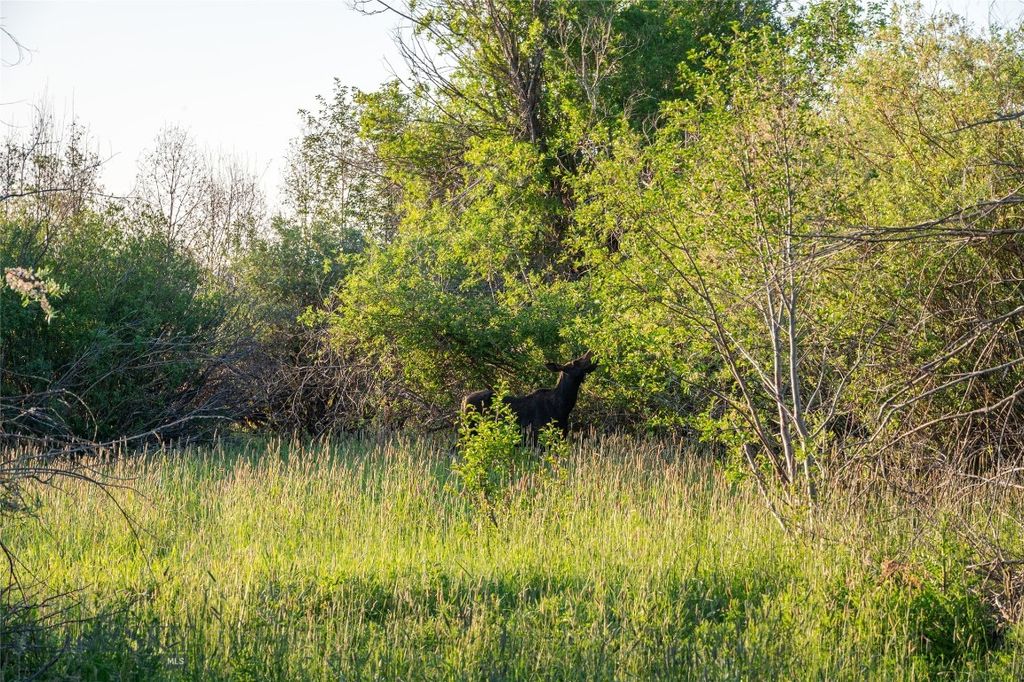 164 Pony Road, Harrison, MT 59735 photo 23