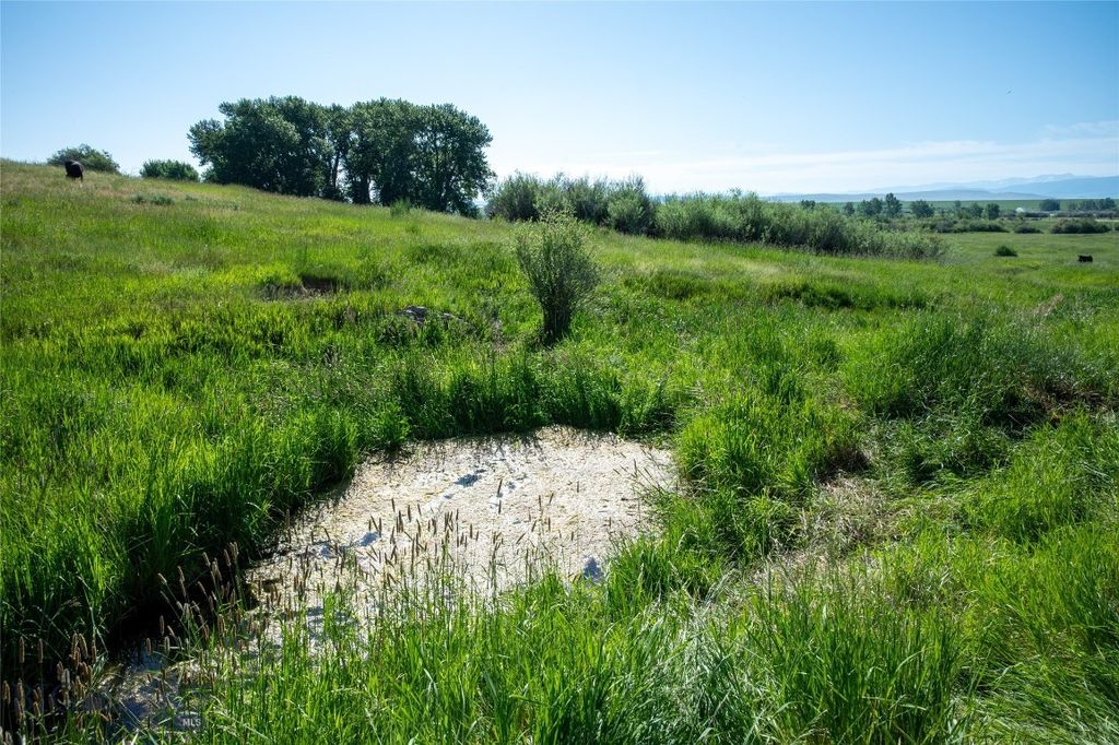 164 Pony Road, Harrison, MT 59735 photo 28