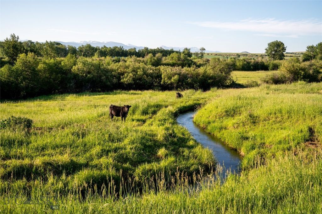 164 Pony Road, Harrison, MT 59735 photo 33