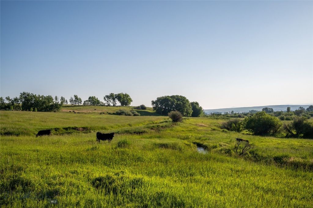 164 Pony Road, Harrison, MT 59735 photo 34