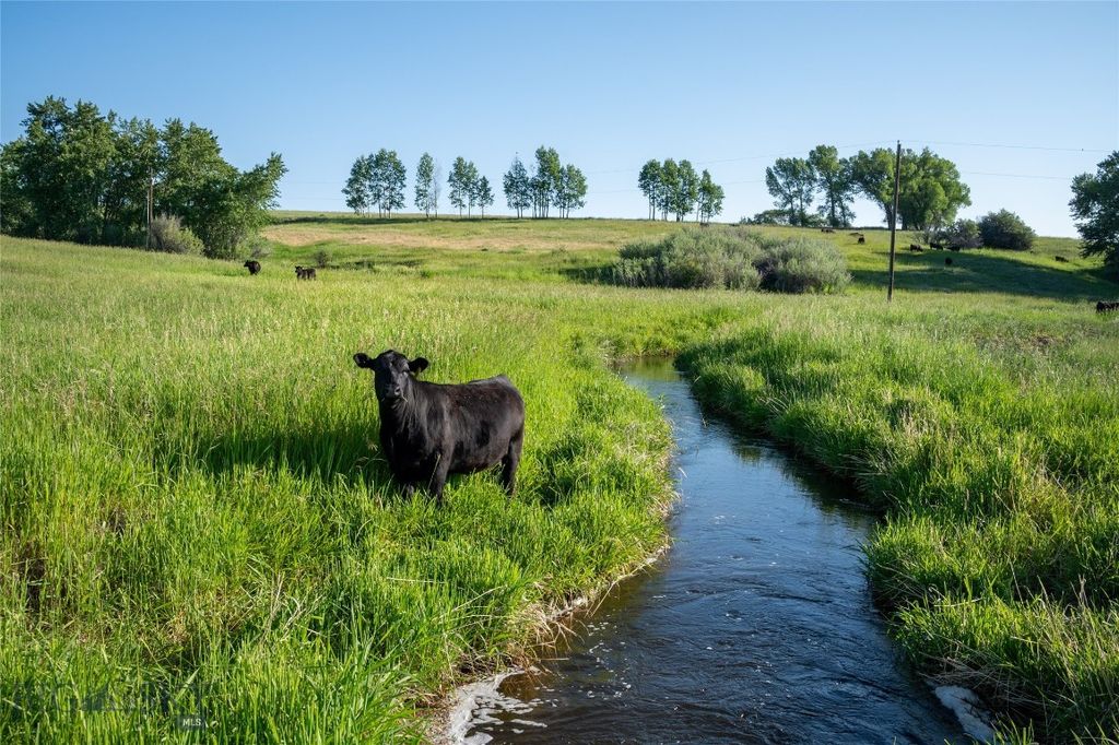 164 Pony Road, Harrison, MT 59735 photo 40