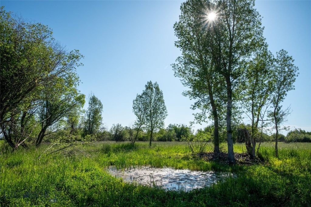 164 Pony Road, Harrison, MT 59735 photo 42