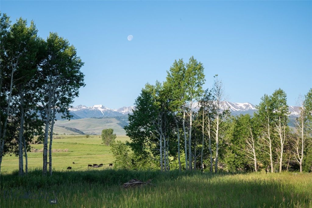 164 Pony Road, Harrison, MT 59735 photo 8