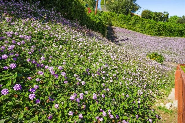 20171 Allentown, Woodland Hills, CA 91364