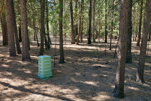 51915 Swiss Pine, La Pine, OR 97739