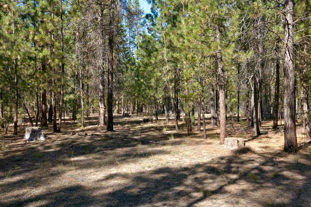 51915 Swiss Pine, La Pine, OR 97739