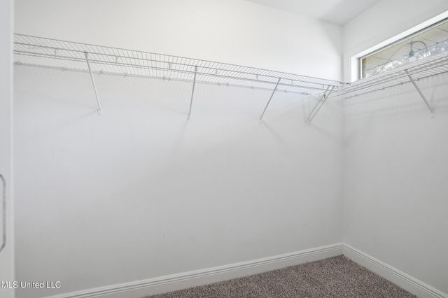 125 Brackish Place, Ocean Springs, MS 39564