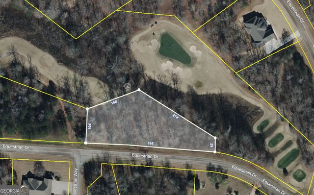 202 Equestrian Drive, Forsyth, GA 31029