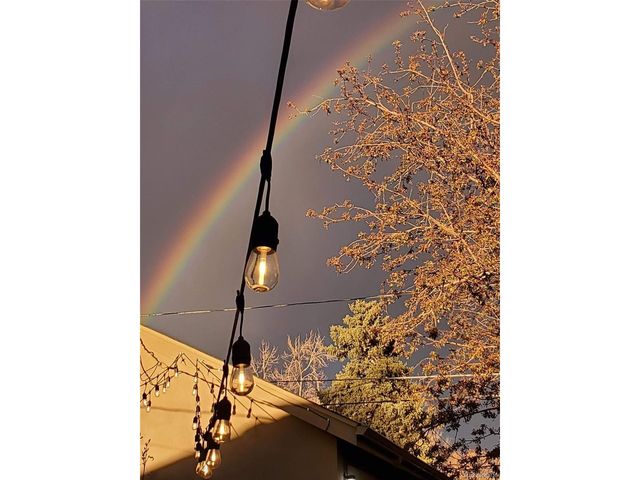 1996 S Downing St, Denver, CO 80210