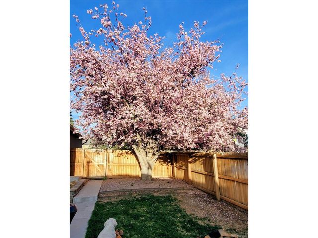 1996 S Downing St, Denver, CO 80210