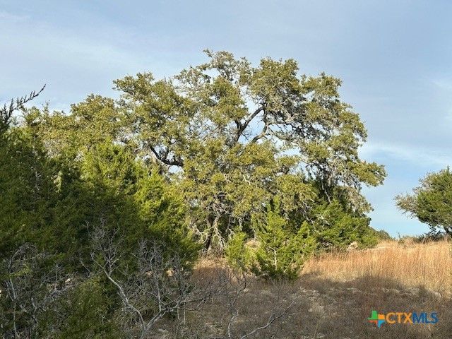 145 Finch Place, Spring Branch, TX 78070
