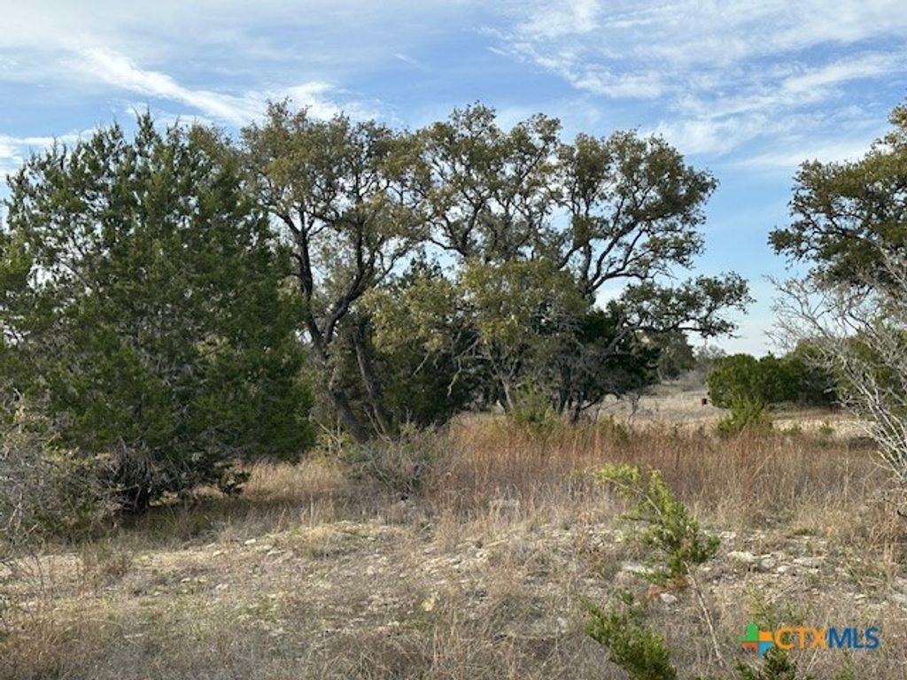 145 Finch Place, Spring Branch, TX 78070