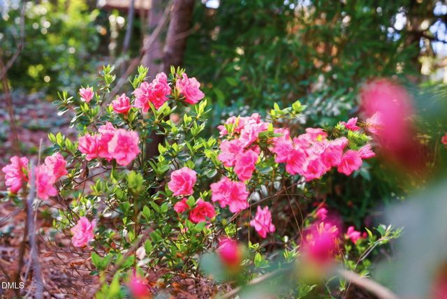 1513 Dellwood Drive, Raleigh, NC 27607