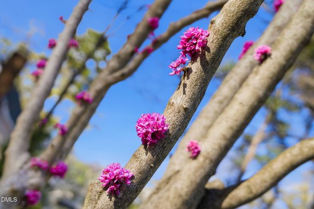 1513 Dellwood Drive, Raleigh, NC 27607