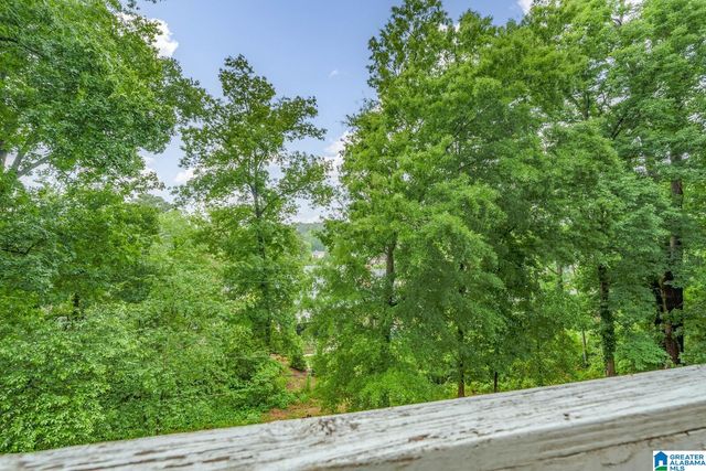 3520 MOUNTAIN PARK DRIVE, Mountain Brook, AL 35213