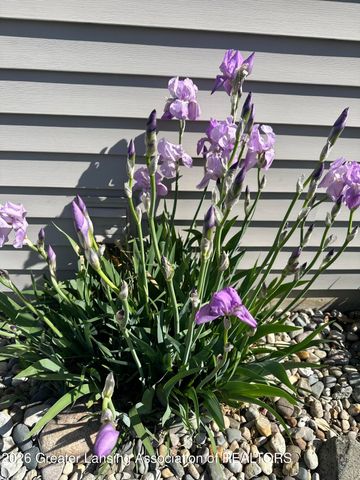 4754 Pine Hill Drive, Potterville, MI 48876