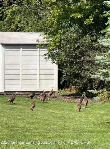 4754 Pine Hill Drive, Potterville, MI 48876