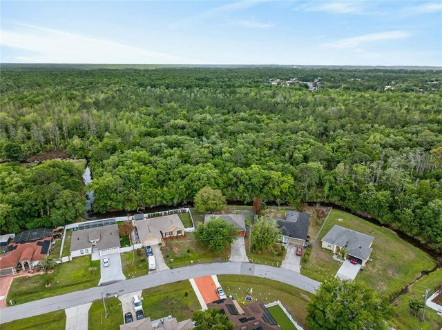 439 MAGPIE COURT, Kissimmee, FL 34759