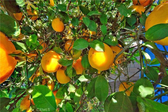 3043 E Merion, Ontario, CA 91761