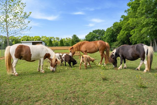2620 Goose Creek By Pass, Franklin, TN 37064