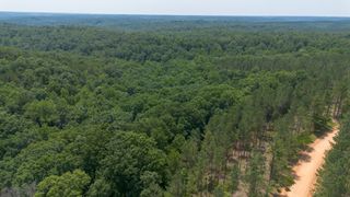 0 Salem Rd, Centerville, TN 37033