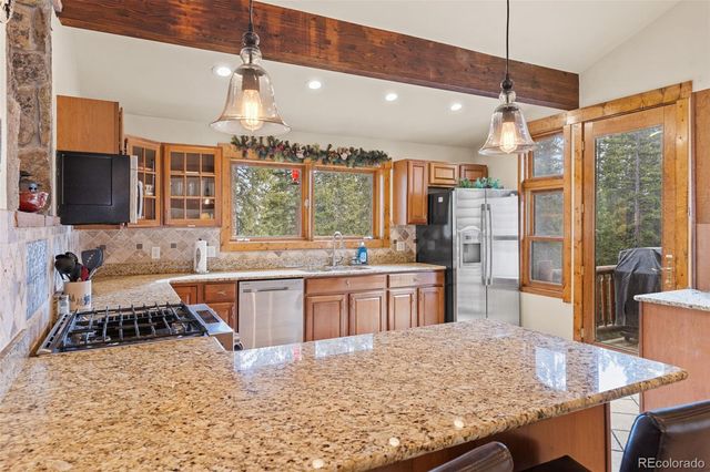 1933 Valley of The Sun Drive, Fairplay, CO 80440