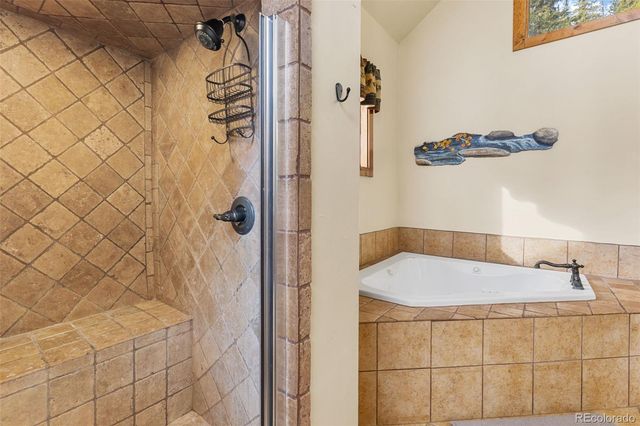 1933 Valley of The Sun Drive, Fairplay, CO 80440