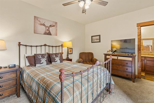 1933 Valley of The Sun Drive, Fairplay, CO 80440