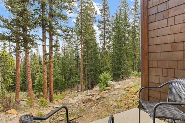 1933 Valley of The Sun Drive, Fairplay, CO 80440