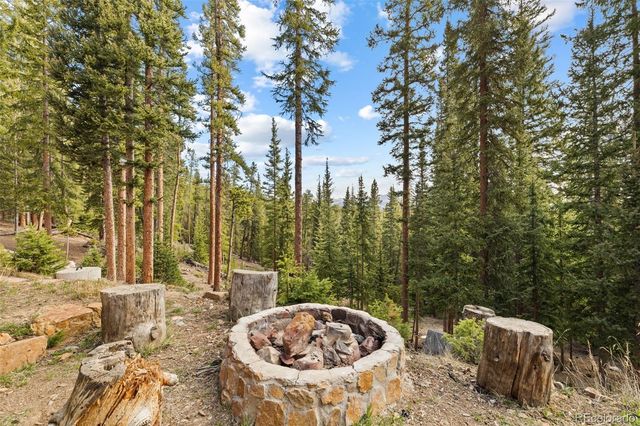 1933 Valley of The Sun Drive, Fairplay, CO 80440
