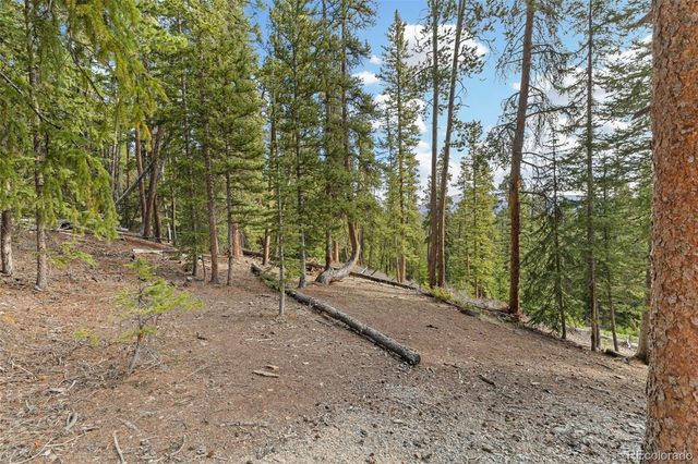 1933 Valley of The Sun Drive, Fairplay, CO 80440