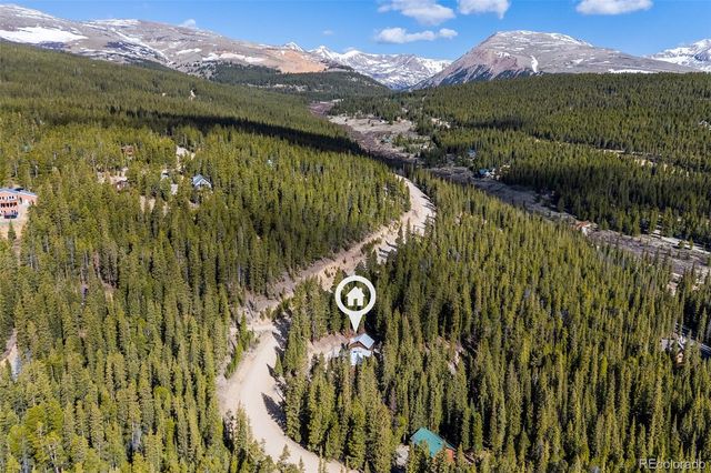 1933 Valley of The Sun Drive, Fairplay, CO 80440