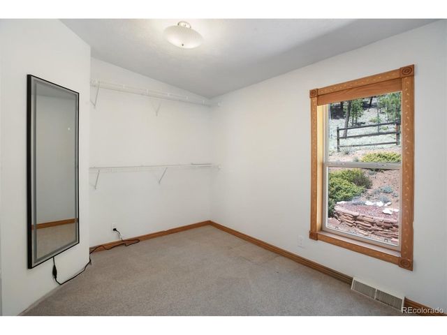 1011 W Bison Creek Trl, Divide, CO 80814