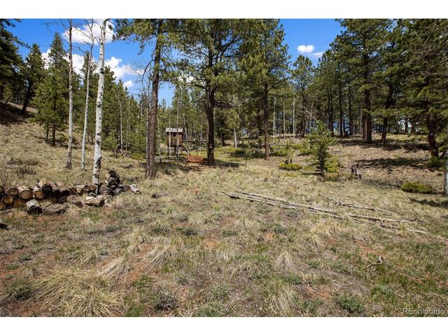 1011 W Bison Creek Trl, Divide, CO 80814