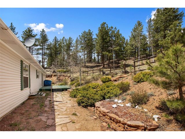 1011 W Bison Creek Trl, Divide, CO 80814