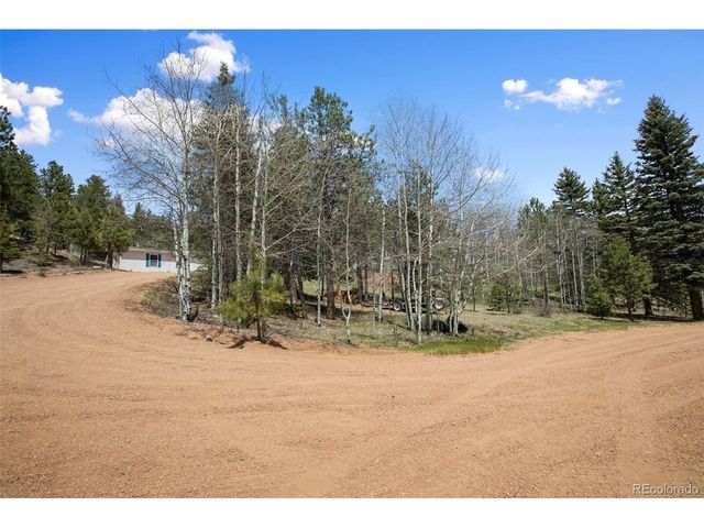 1011 W Bison Creek Trl, Divide, CO 80814